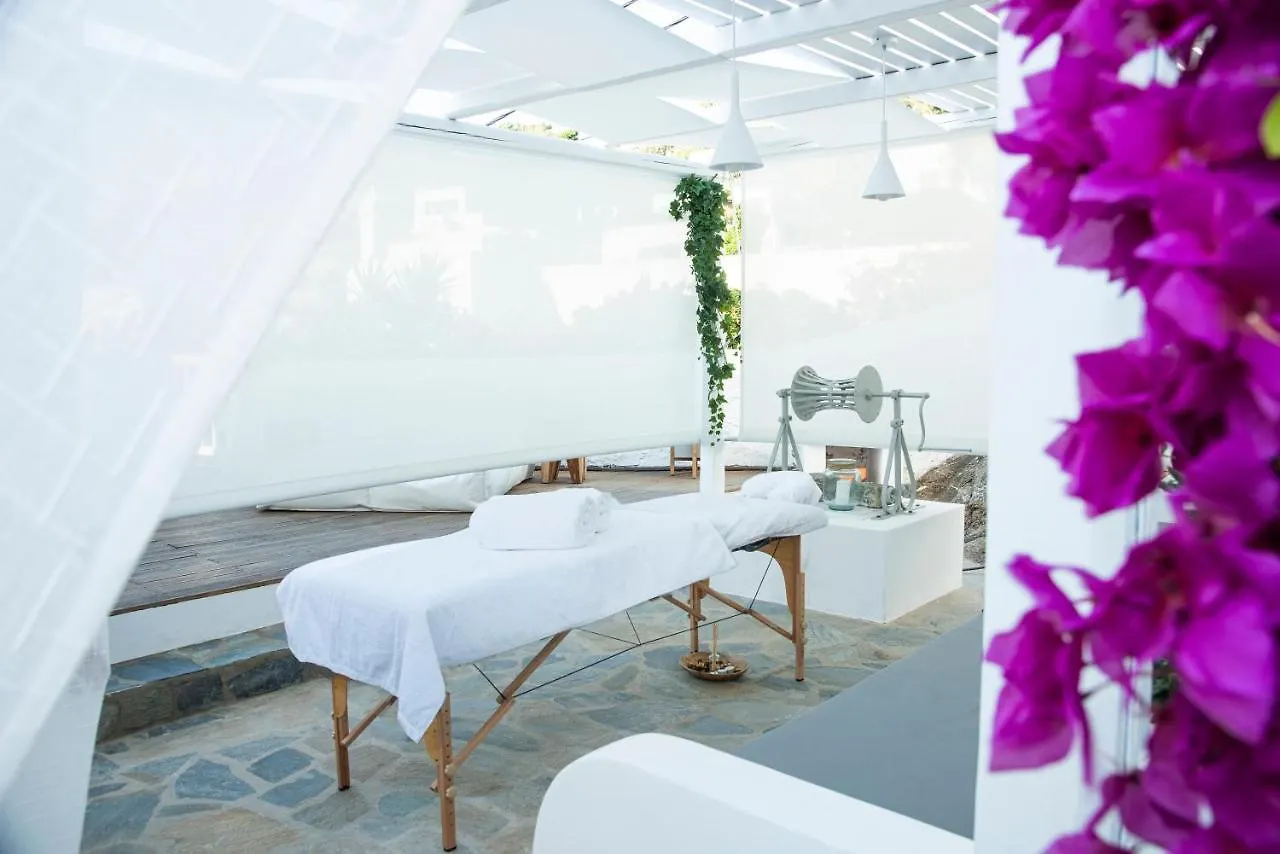 Pietra Bianca 1891 Suites Mykonos Town Appartement